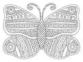 Detailed ornamental symmetry butterfly vector coloring page Royalty Free Stock Photo